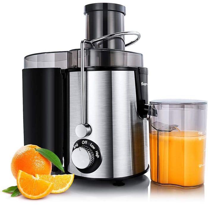 Masticating Dual Speed Detachable Stainless Steel Masticating Juicer