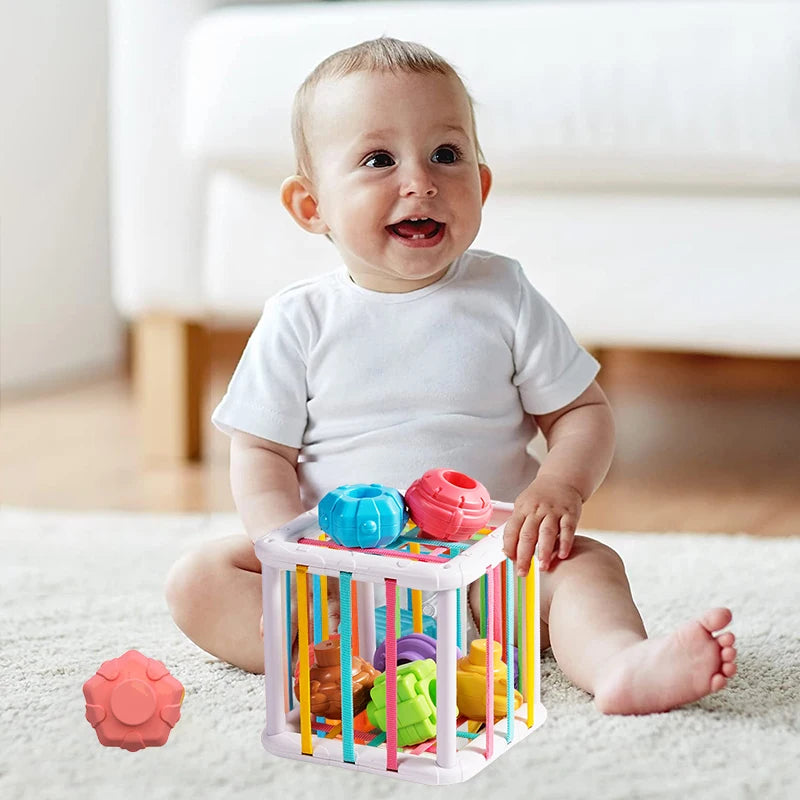 Montessori Shape Sorter Sensory Bin | Colorful Cube Sorting Game for Babies | Educational Toy for 1-2 Year Old Boys and Girls