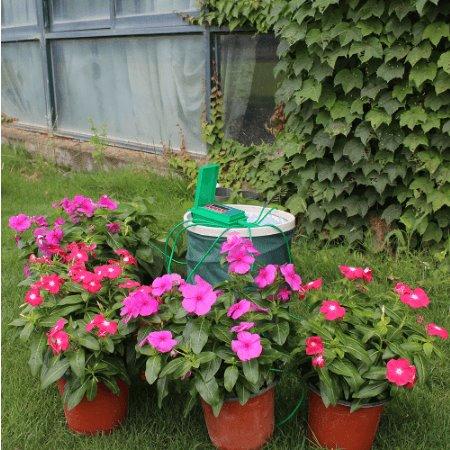 garden watering system