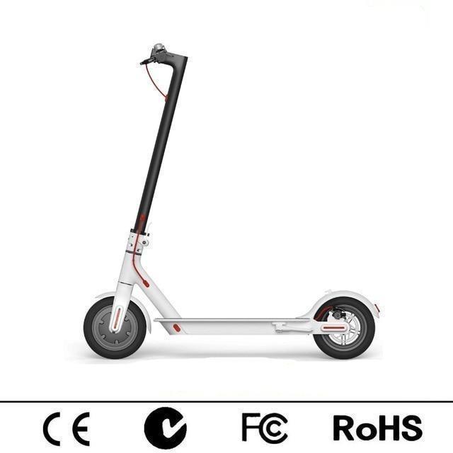 AnyGo Foldable Electric Scooter